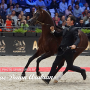 Paris World Championship 2018