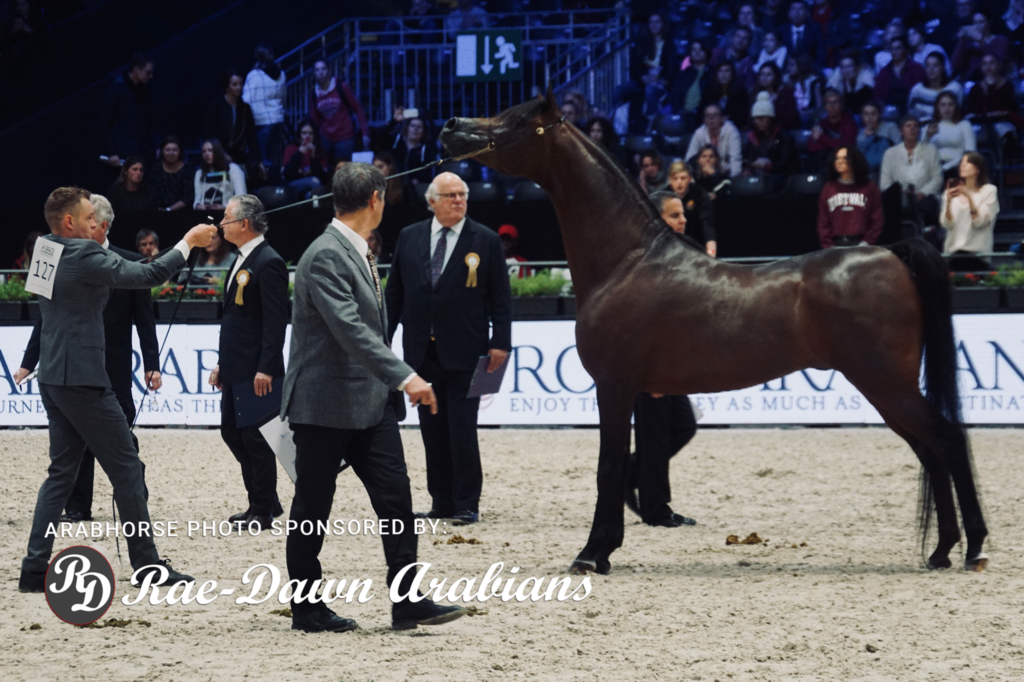 Paris World Championship 2018