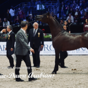 Paris World Championship 2018