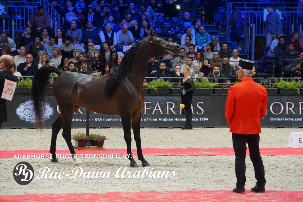 Paris World Championship 2018