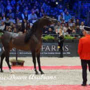 Paris World Championship 2018