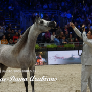 Paris World Championship 2018