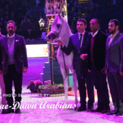 Paris World Championship 2018