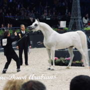 Paris World Championship 2018