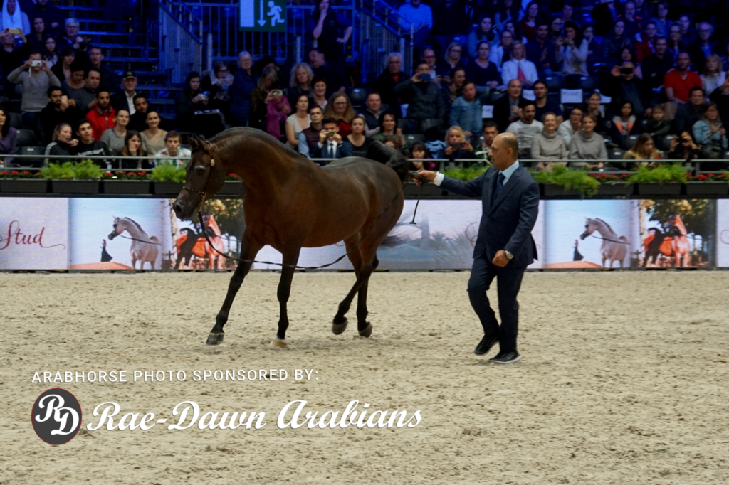 Paris World Championship 2018