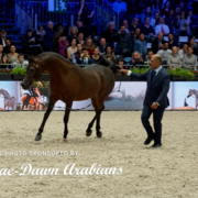 Paris World Championship 2018