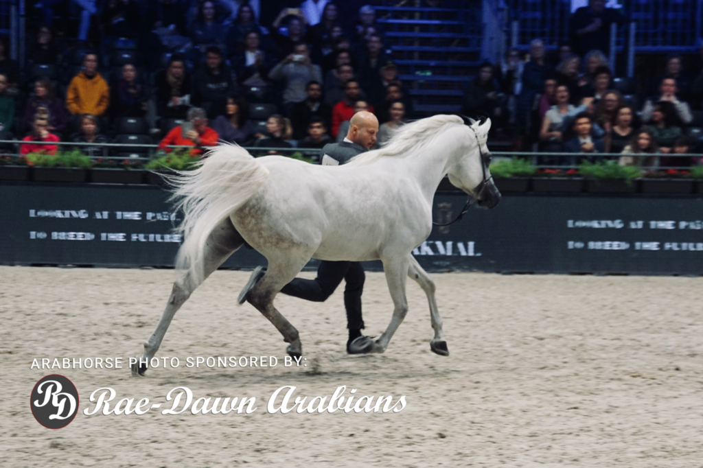 Paris World Championship 2018