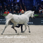 Paris World Championship 2018