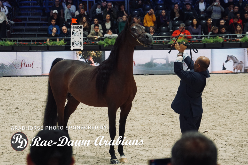 Paris World Championship 2018