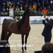 Paris World Championship 2018