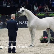 Paris World Championship 2018