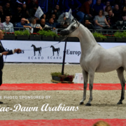 Paris World Championship 2018