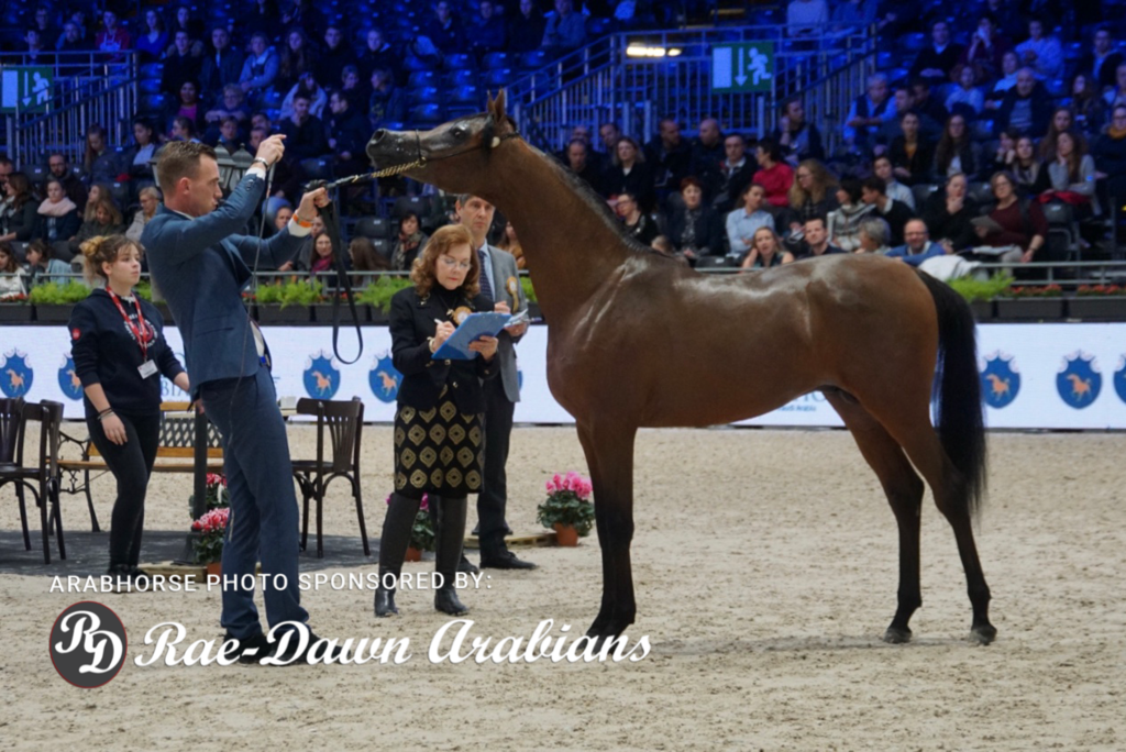 Paris World Championship 2018