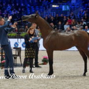 Paris World Championship 2018