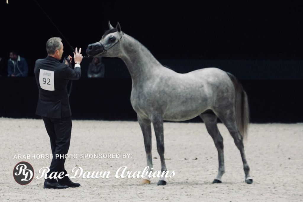 Paris World Championship 2018