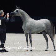 Paris World Championship 2018