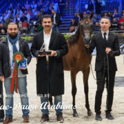 Paris World Championship 2018