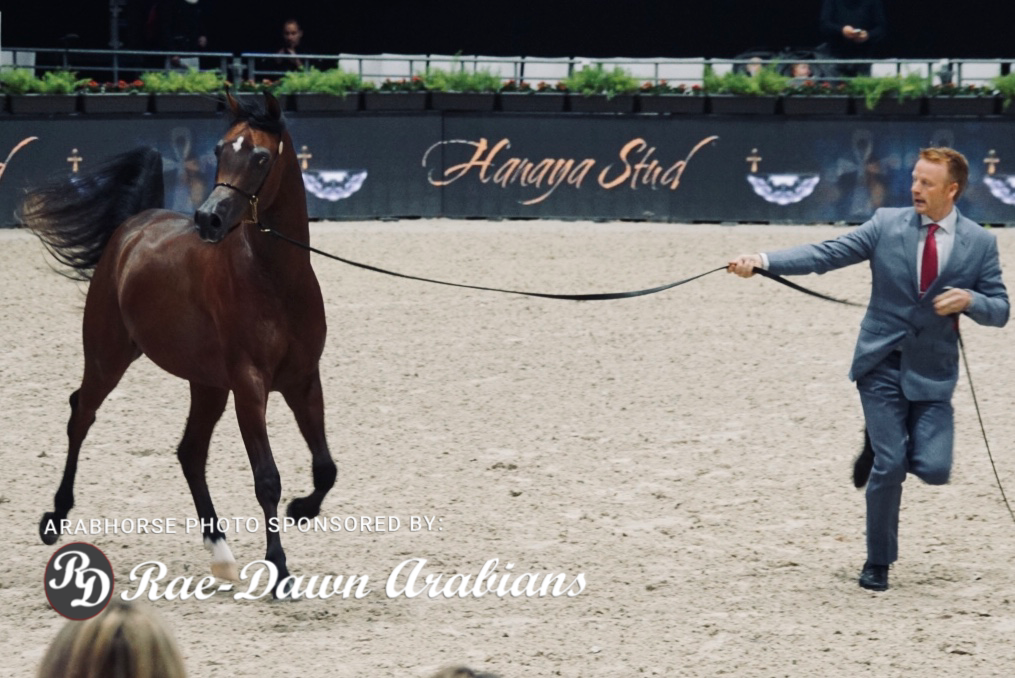 Paris World Championship 2018