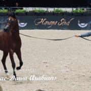 Paris World Championship 2018