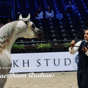 Paris World Championship 2018