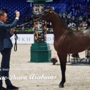 Paris World Championship 2018