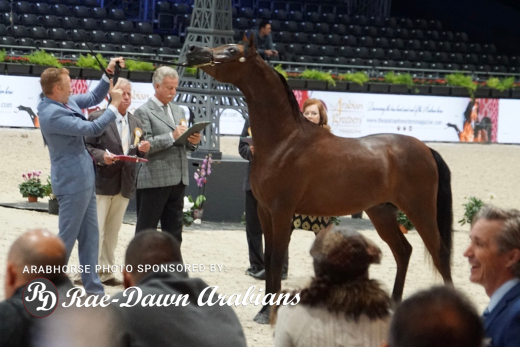 Paris World Championship 2018