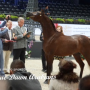 Paris World Championship 2018