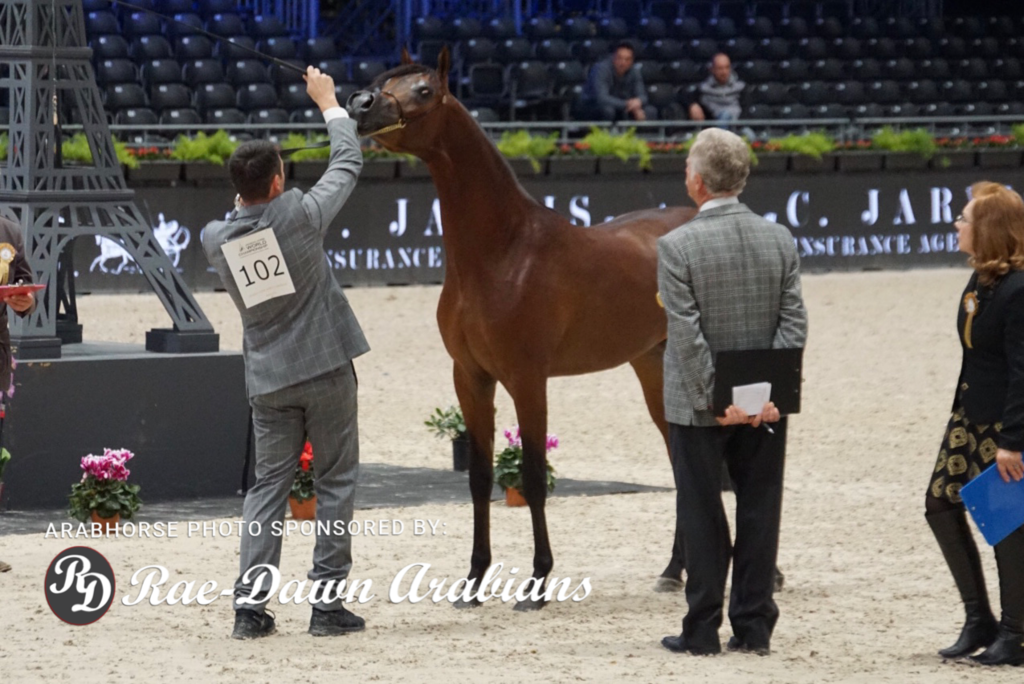 Paris World Championship 2018