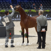 Paris World Championship 2018