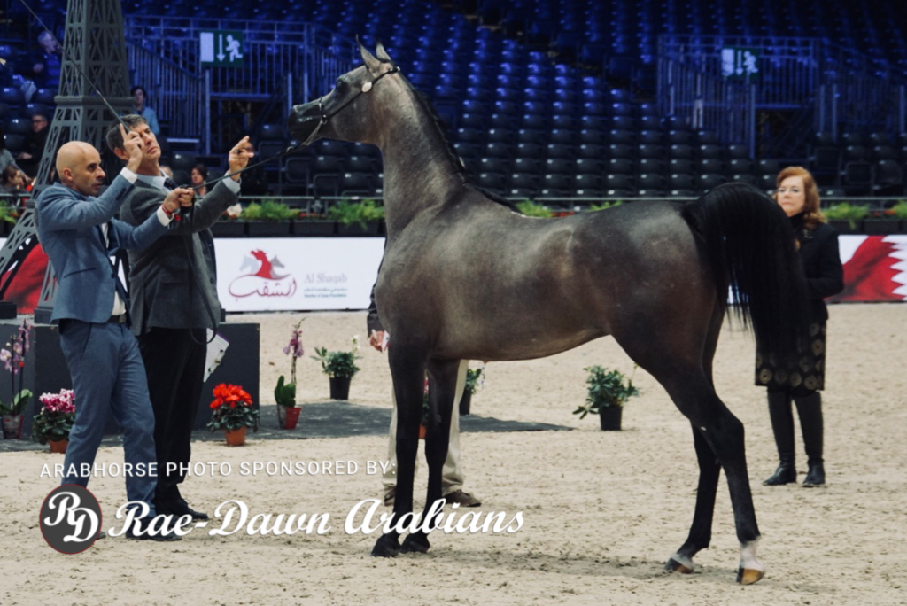 Paris World Championship 2018