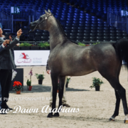 Paris World Championship 2018