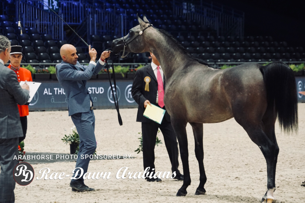 Paris World Championship 2018