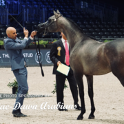 Paris World Championship 2018