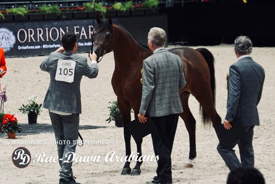 Paris World Championship 2018