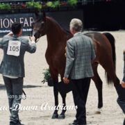 Paris World Championship 2018