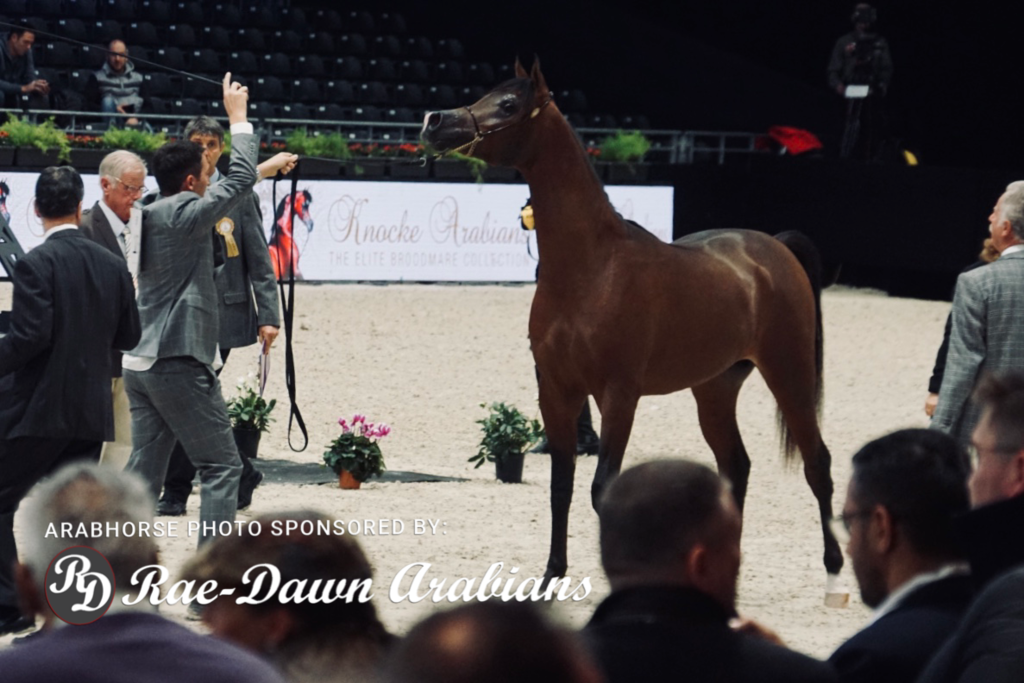 Paris World Championship 2018