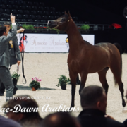 Paris World Championship 2018