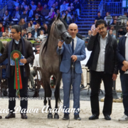 Paris World Championship 2018