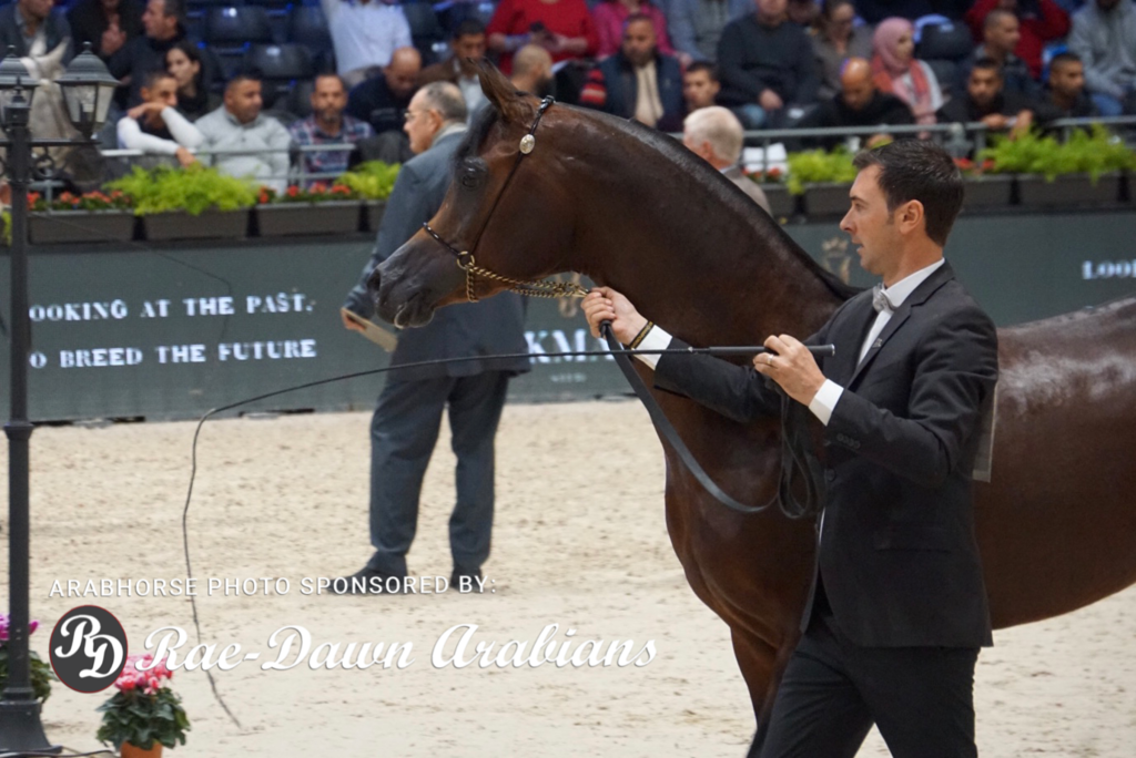 Paris World Championship 2018