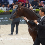 Paris World Championship 2018