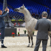 Paris World Championship 2018