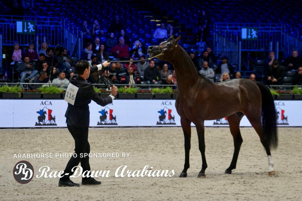 Paris World Championship 2018