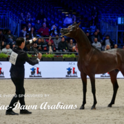 Paris World Championship 2018