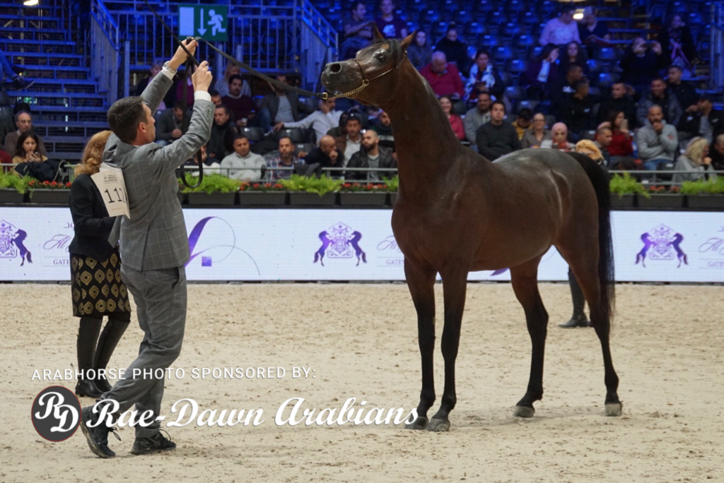 Paris World Championship 2018