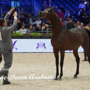 Paris World Championship 2018