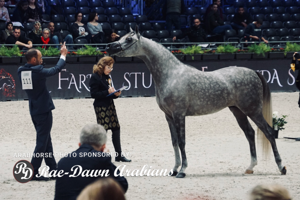 Paris World Championship 2018