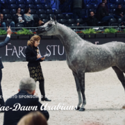 Paris World Championship 2018