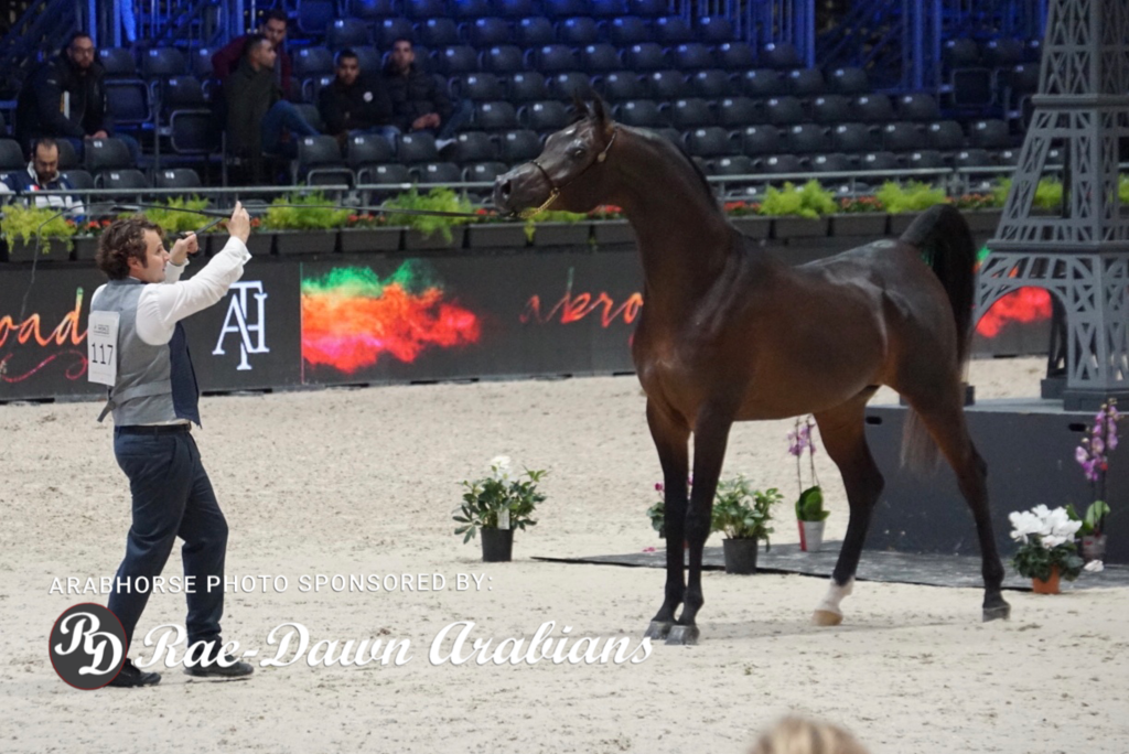 Paris World Championship 2018