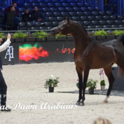 Paris World Championship 2018