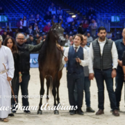 Paris World Championship 2018